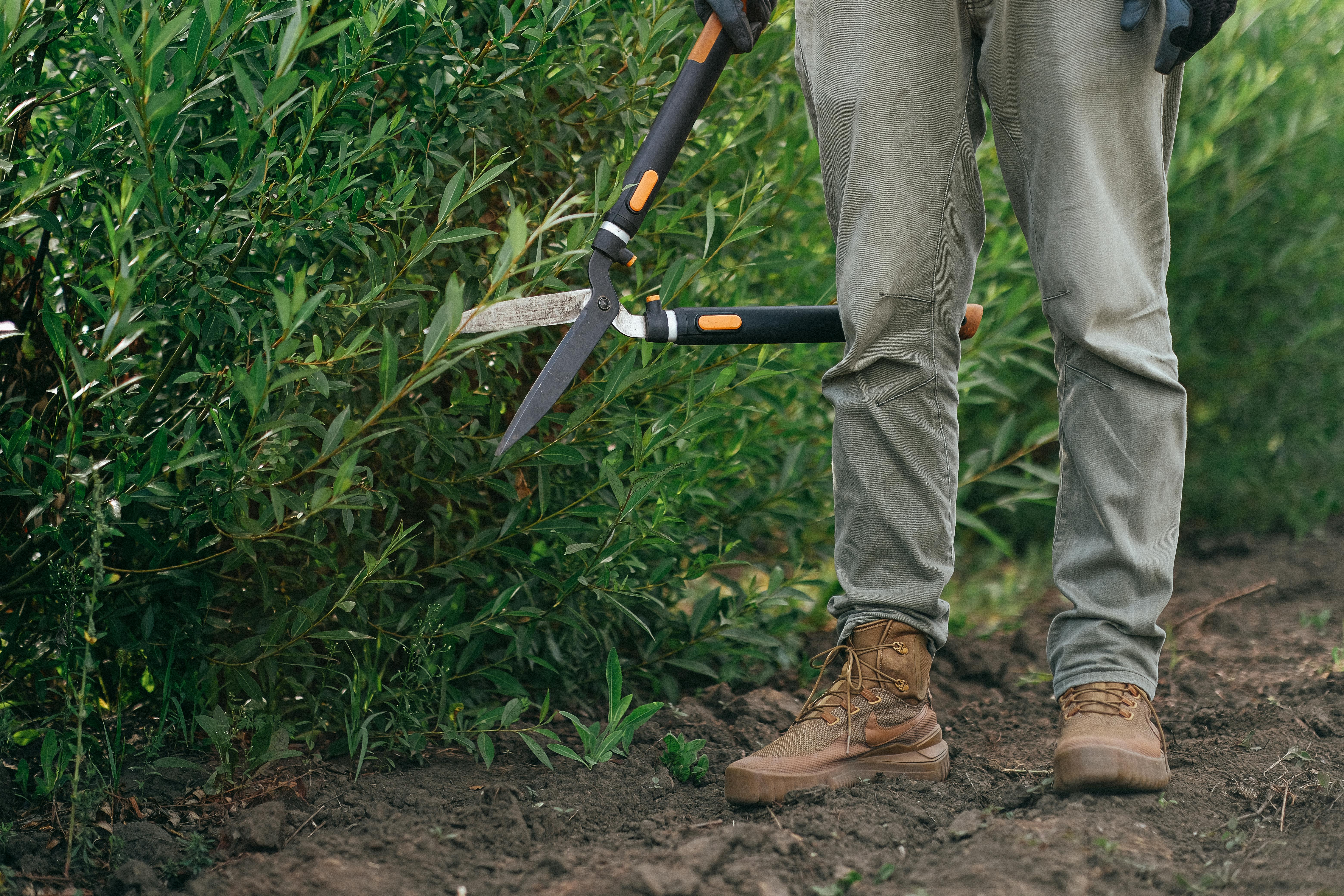 Pruning & Detail Work service
