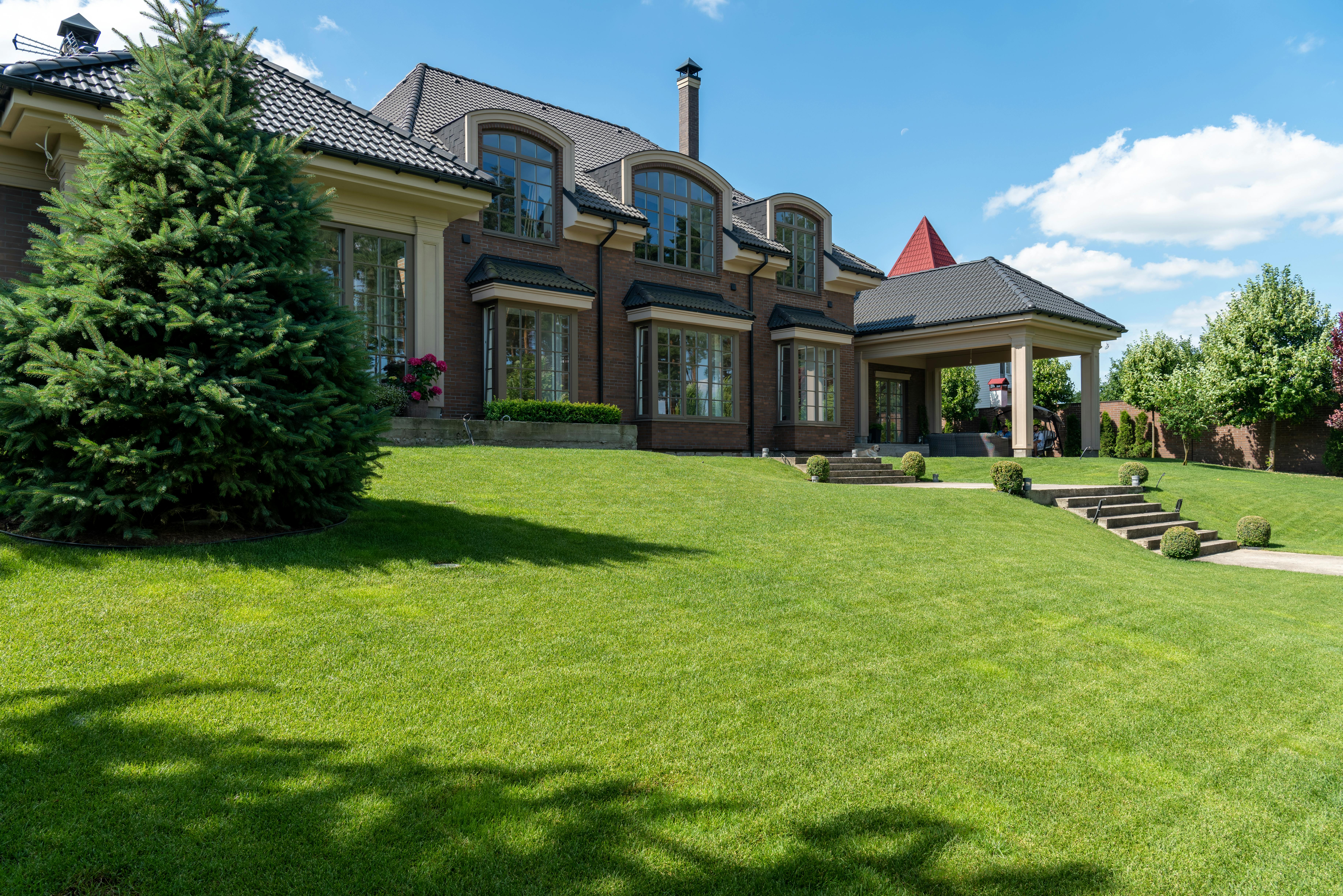 Seasonal Yard Cleanup service