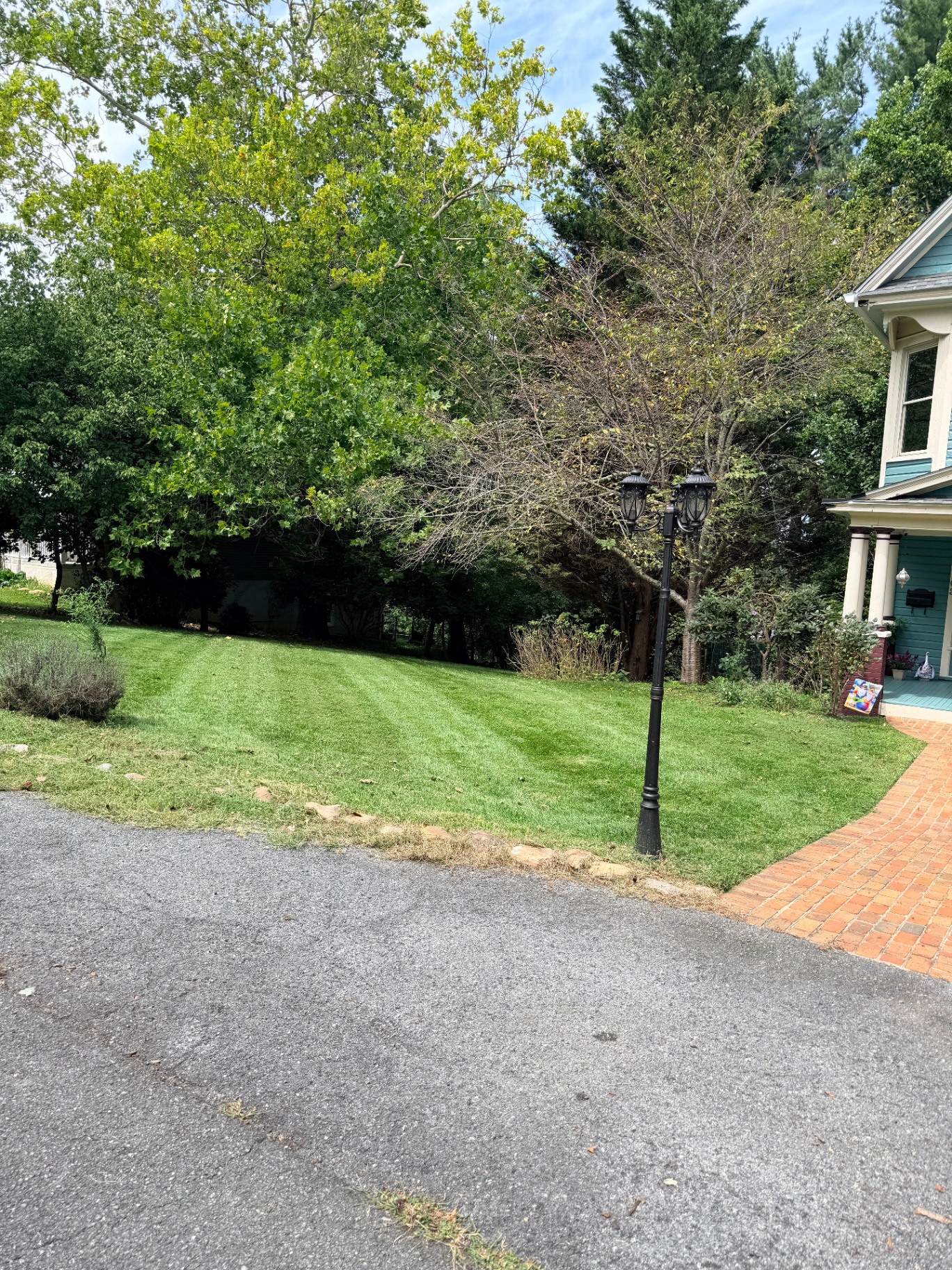Tidy lawn and edging around a front-yard lamppost