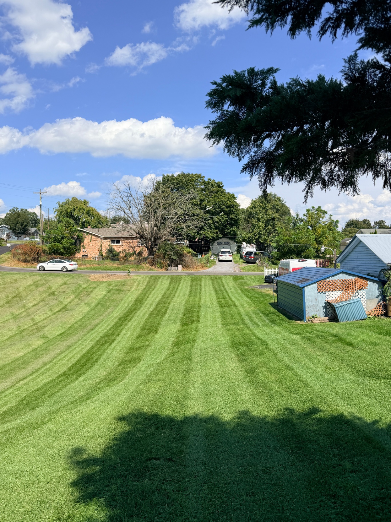 Wide striped lawn after a professional mow