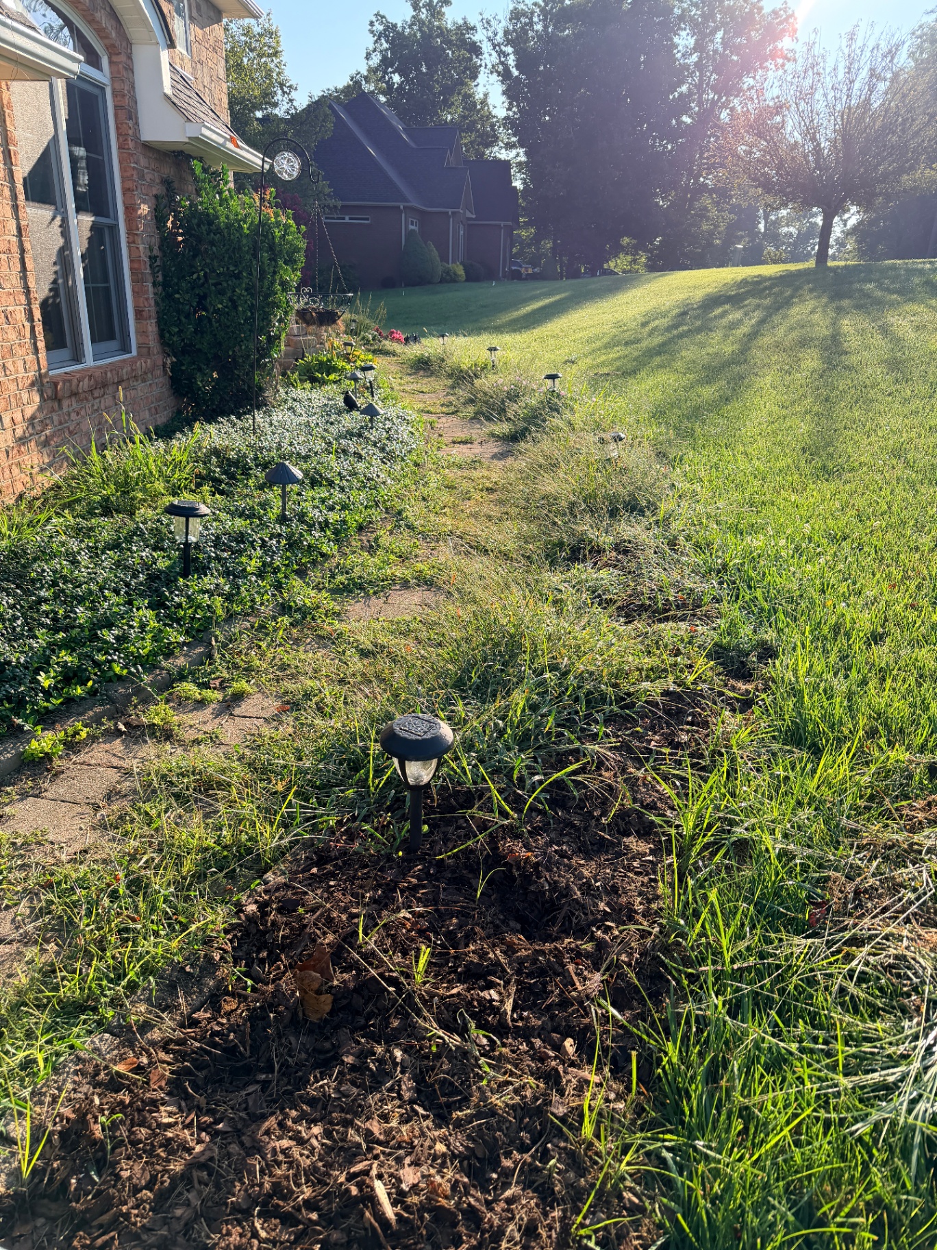 Overgrown, weedy walkway bed before The Mowgicians cleanup