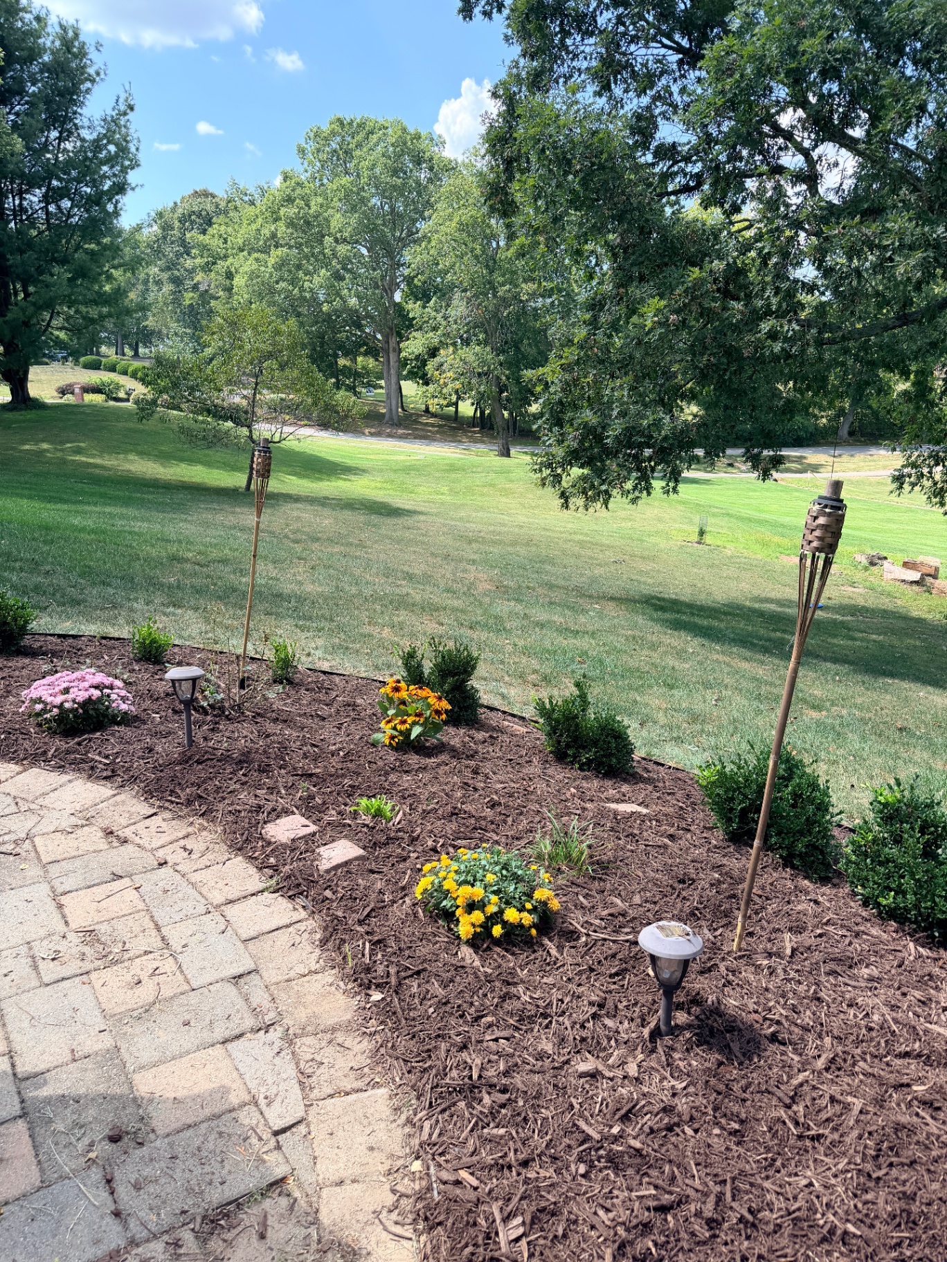 New mulch bed with flowers and boxwoods beside a paver walkway