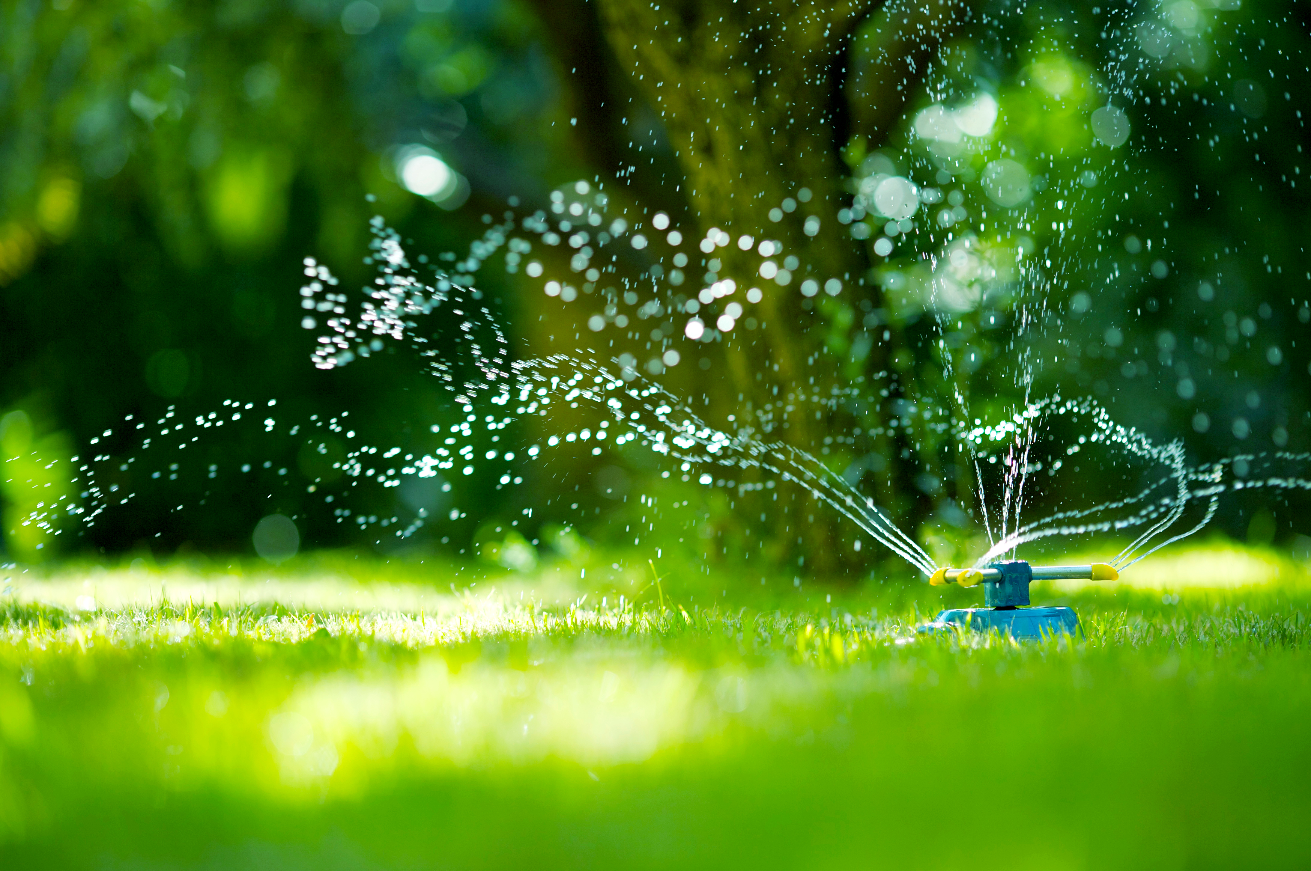 Irrigation by The Mowgicians